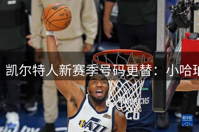 凯尔特人新赛季号码更替：小哈珀改穿8号 13号归属乔治