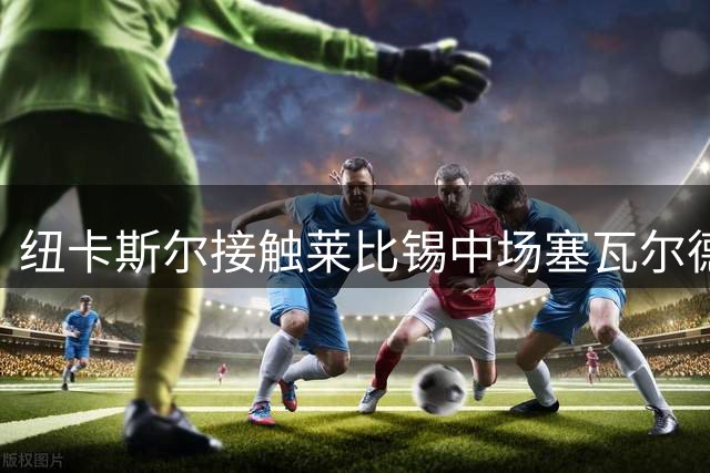 纽卡斯尔接触莱比锡中场塞瓦尔德 转会谈判仍处询价阶段