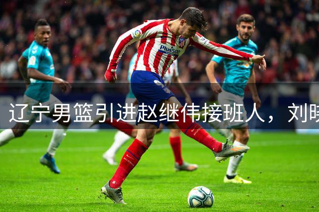 辽宁男篮引进赵继伟接班人，刘晓宇回归北控，广东补强内线遇阻
